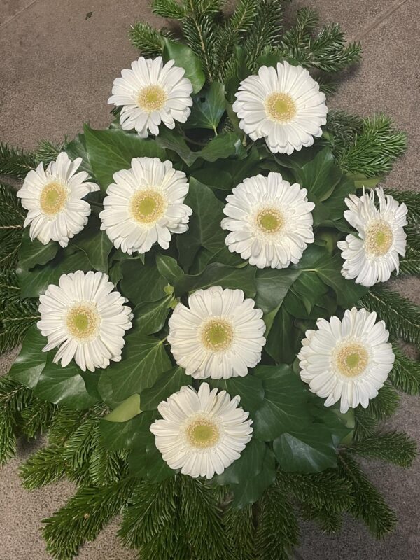 Fehér gerbera sírkoszorú