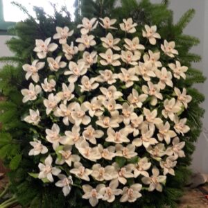 Fehér Orchidea Búcsú - Álló koszorú