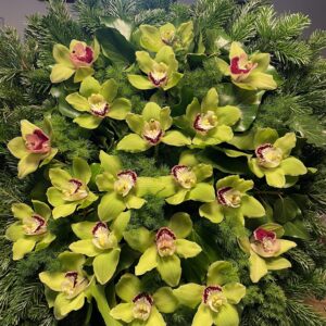 Zöld Örökzöld - Álló Koszorú Zöld Cymbidium Orchideával