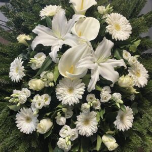 Hófehér elegancia